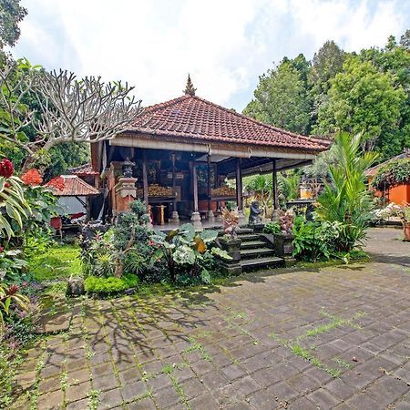 Oyo Homes 91091 Desa Wisata Umejero 문덕 외부 사진