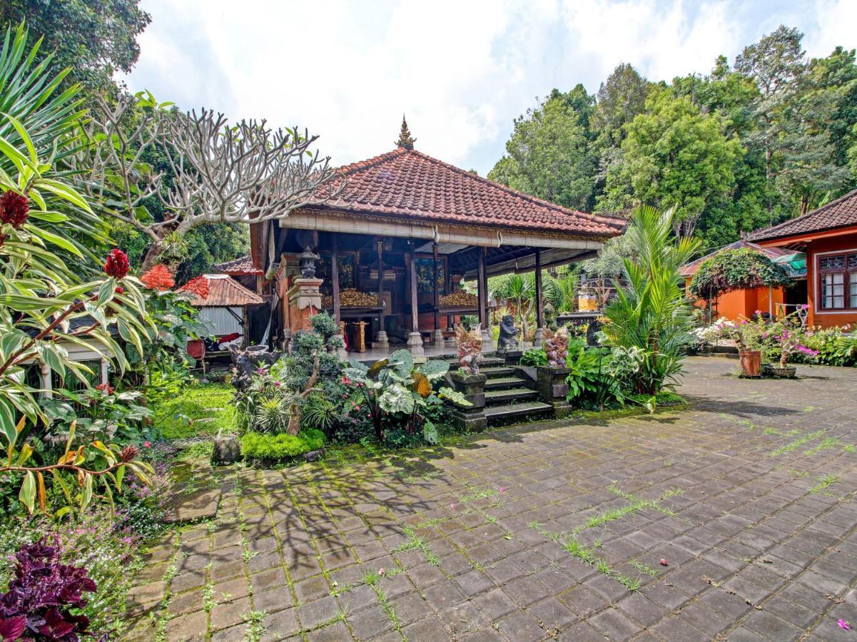 Oyo Homes 91091 Desa Wisata Umejero 문덕 외부 사진