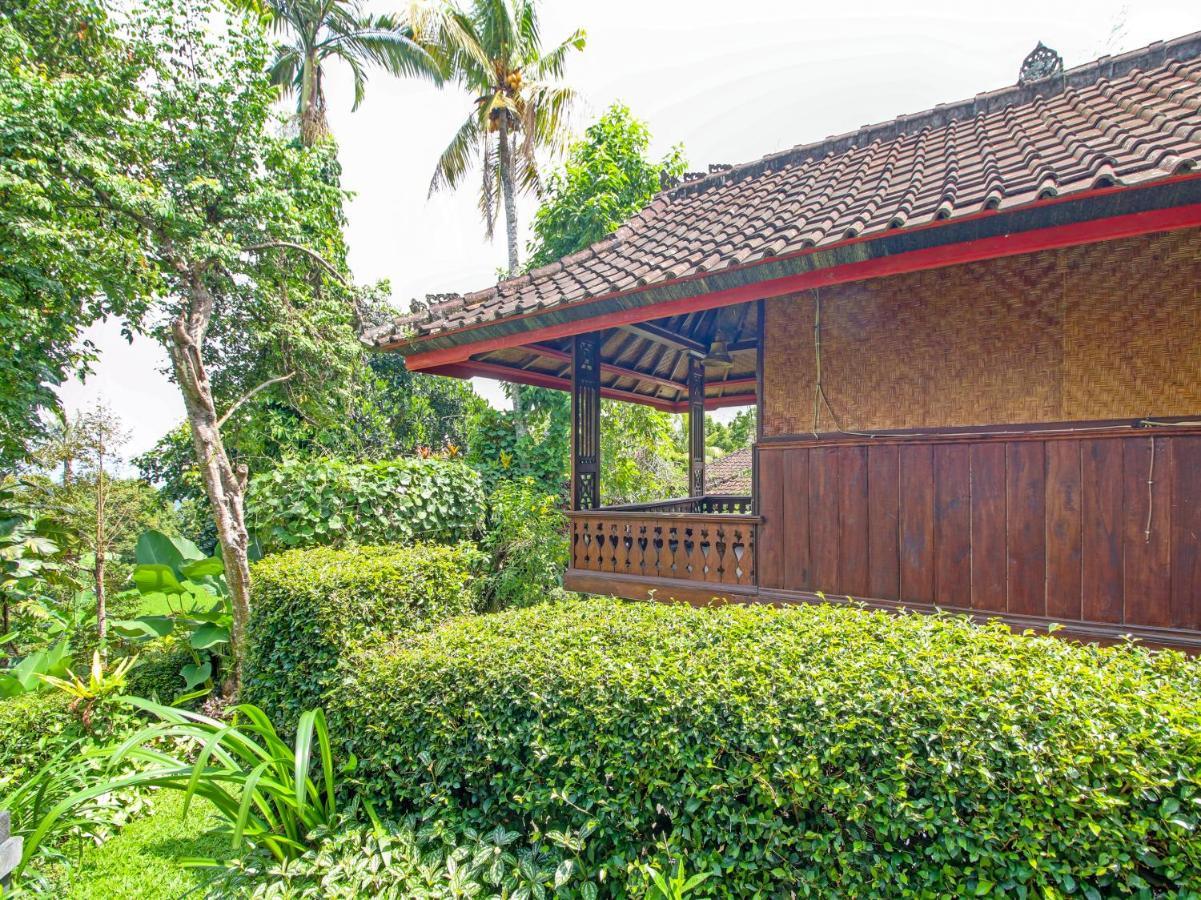 Oyo Homes 91091 Desa Wisata Umejero 문덕 외부 사진