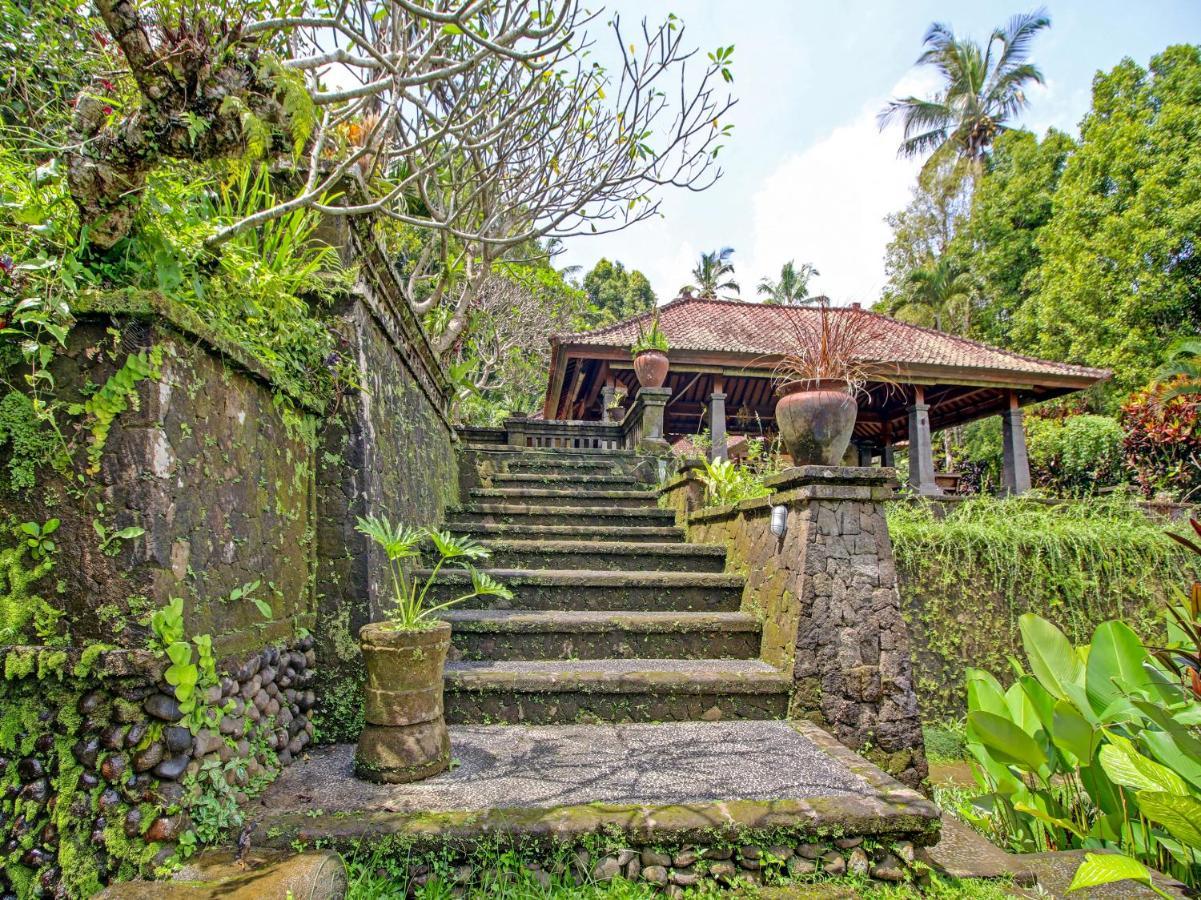 Oyo Homes 91091 Desa Wisata Umejero 문덕 외부 사진