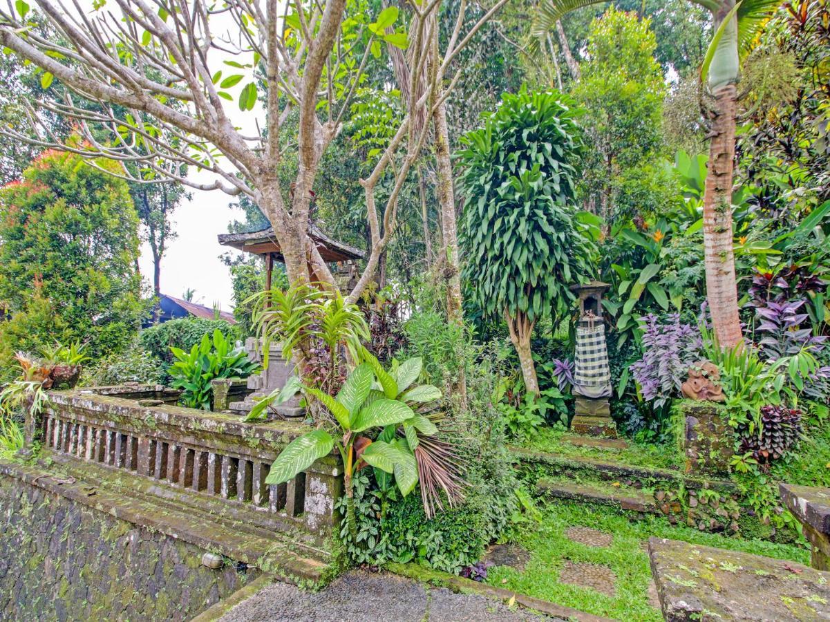 Oyo Homes 91091 Desa Wisata Umejero 문덕 외부 사진