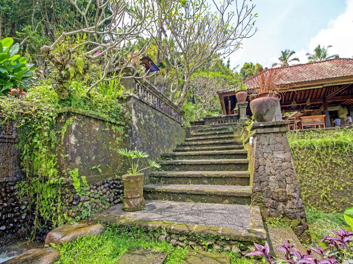 Oyo Homes 91091 Desa Wisata Umejero 문덕 외부 사진