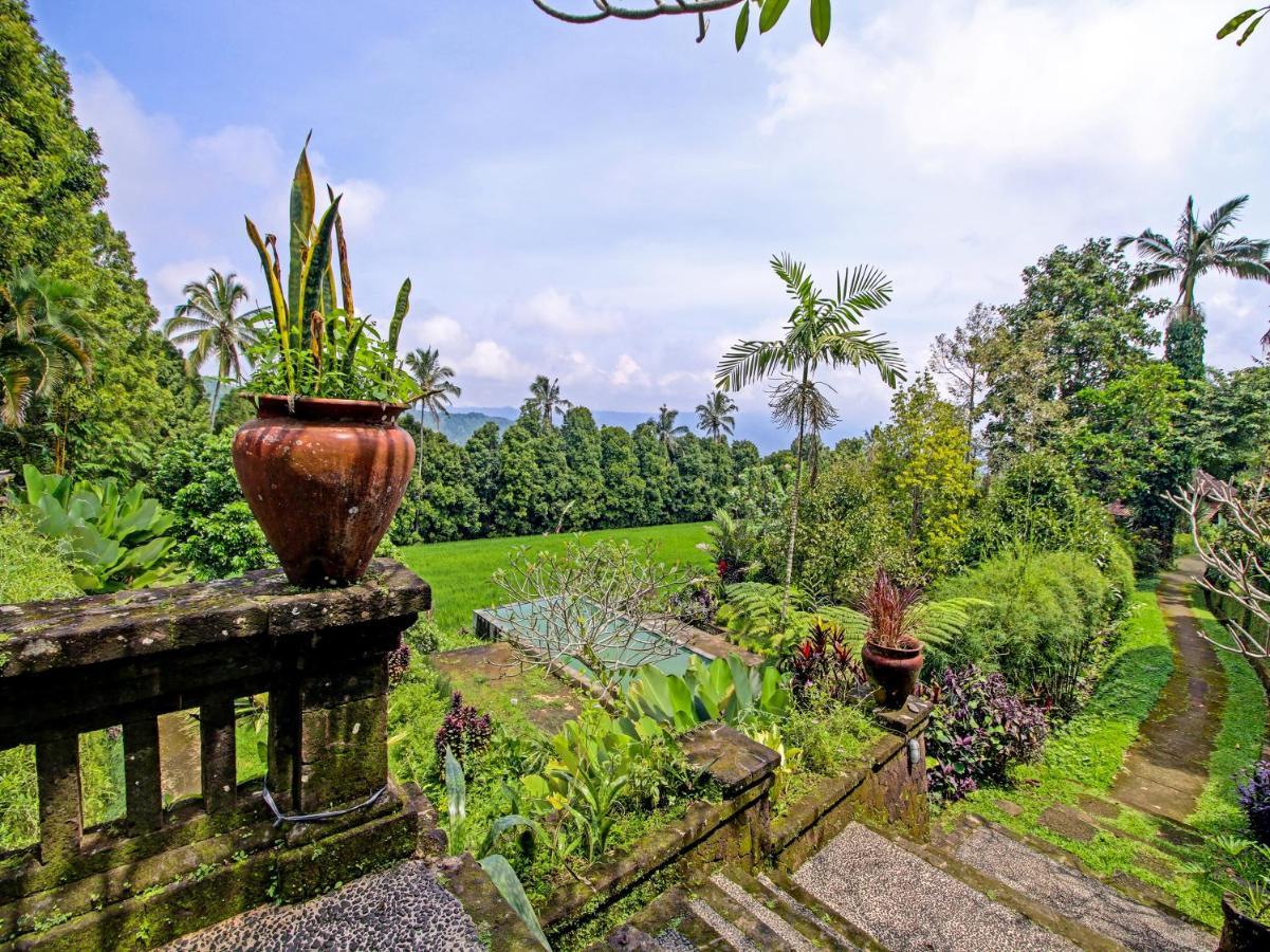 Oyo Homes 91091 Desa Wisata Umejero 문덕 외부 사진
