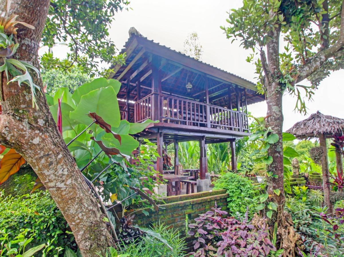 Oyo Homes 91091 Desa Wisata Umejero 문덕 외부 사진